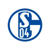 FC Schalke 04 - jerzelite