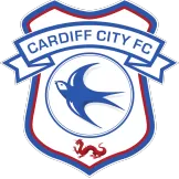 Cardiff City - jerzelite