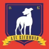 AFC Richmond - jerzelite