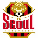 FC Seoul - jerzelite