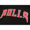 Men's Aape x Chicago Bulls Black Hoodie - jerzelite