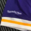 Men's Los Angeles Lakers Earvin Johnson #32 Mitchell&Ness Purple Name And Number Mesh Top - jerzelite