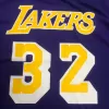 Men's Los Angeles Lakers Earvin Johnson #32 Mitchell&Ness Purple Name And Number Mesh Top - jerzelite