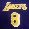 Men's Los Angeles Lakers Kobe Bryant #8 Mitchell&Ness Purple Name And Number Mesh Top - jerzelite