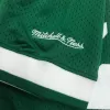 Men's Boston Celtics Larry Bird #33 Mitchell&Ness Green Name And Number Mesh Top - jerzelite