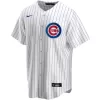 Men's Chicago Cubs Anthony Rizzo #44 Nike White Home Player Jersey - jerzelite