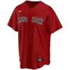 Men's Boston Red Sox Chris Sale  #41 Nike Red Alternate 2020 Replica Jersey - jerzelite