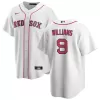 Men's Boston Red Sox Ted Williams #9 Nike White Home 2020 Replica Jersey - jerzelite