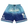 Men's Charlotte Hornets Blue Mesh NBA Shorts - jerzelite