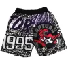 Men's Toronto Raptors Gray Mesh NBA Shorts - jerzelite